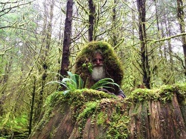 Mick Dodge demonstrates
                                            natural camouflage deep
                                            within the Hoh Rainforest.