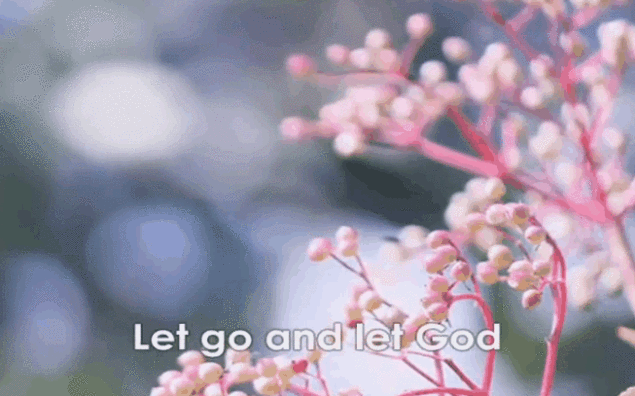 let go and let god
