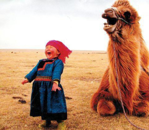 beautiful-sweet-camel-childhood-desert-Favim.com-783835
