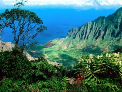 Kauai beautiful valley