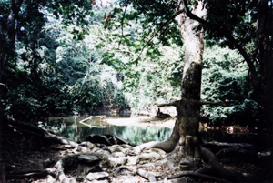 Oshun River, named after
      Oshun African goddess