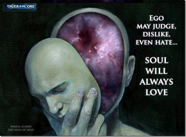 ego may judge